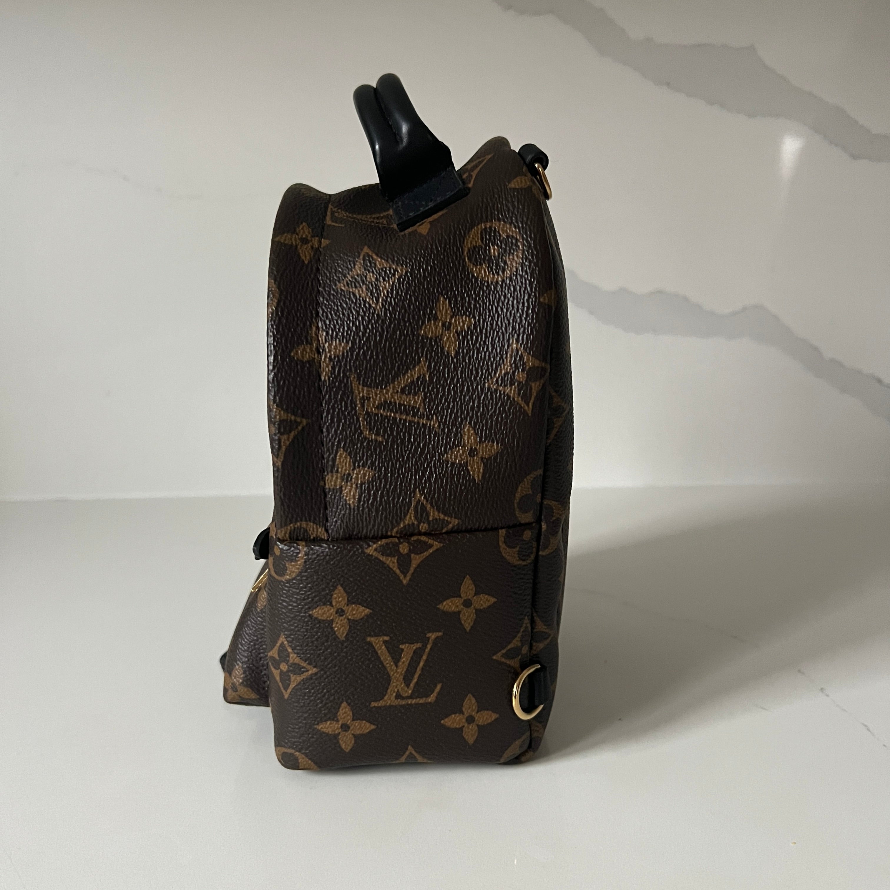 Louis Vuitton Palm Springs Mini