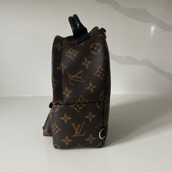 Louis Vuitton Palm Springs Mini