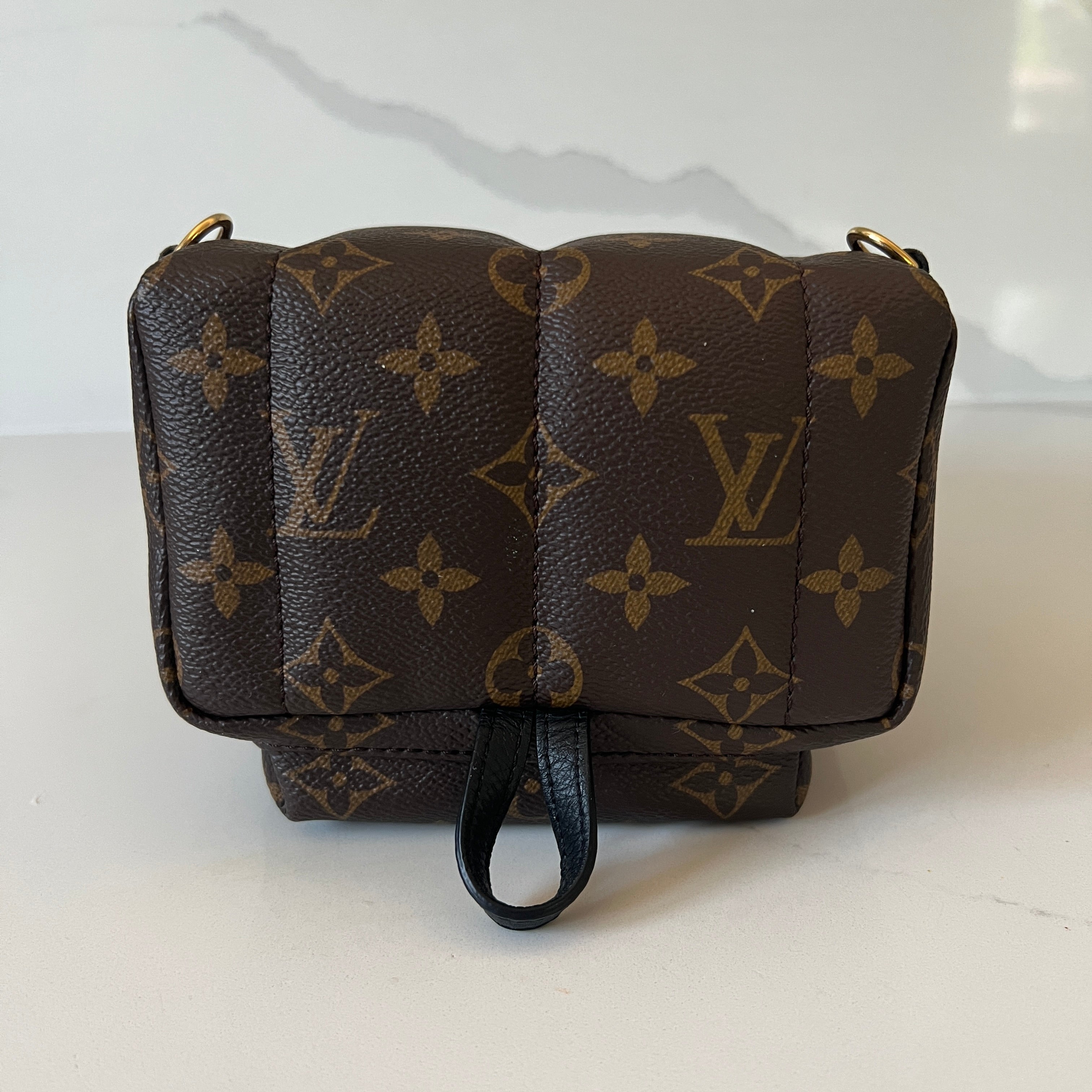 Louis Vuitton Palm Springs Mini