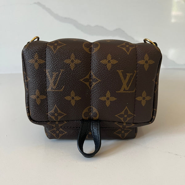 Louis Vuitton Palm Springs Mini