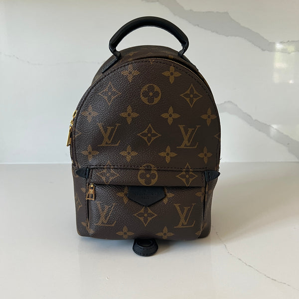 Louis Vuitton Palm Springs Mini