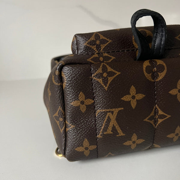 Louis Vuitton Palm Springs Mini