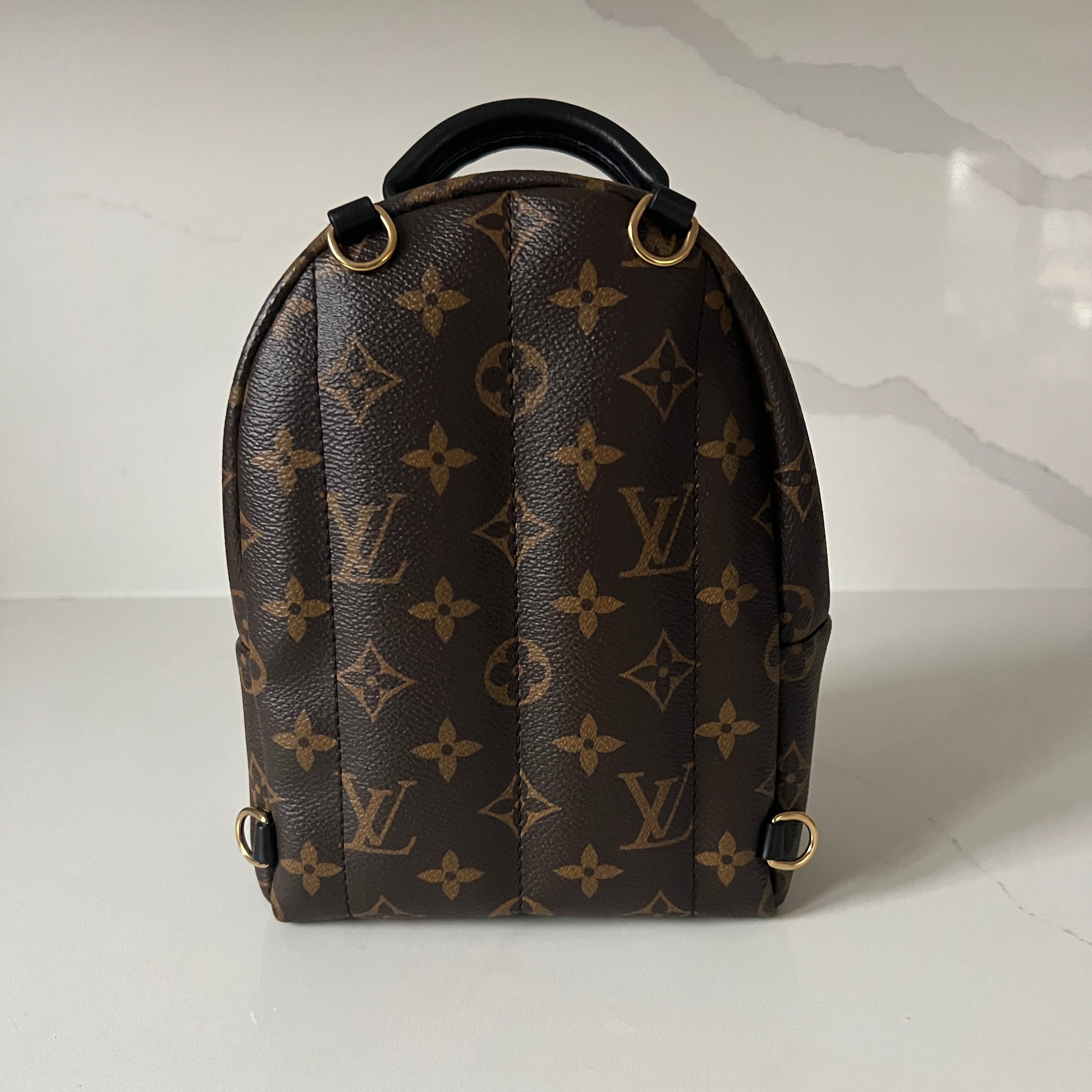 Louis Vuitton Palm Springs Mini