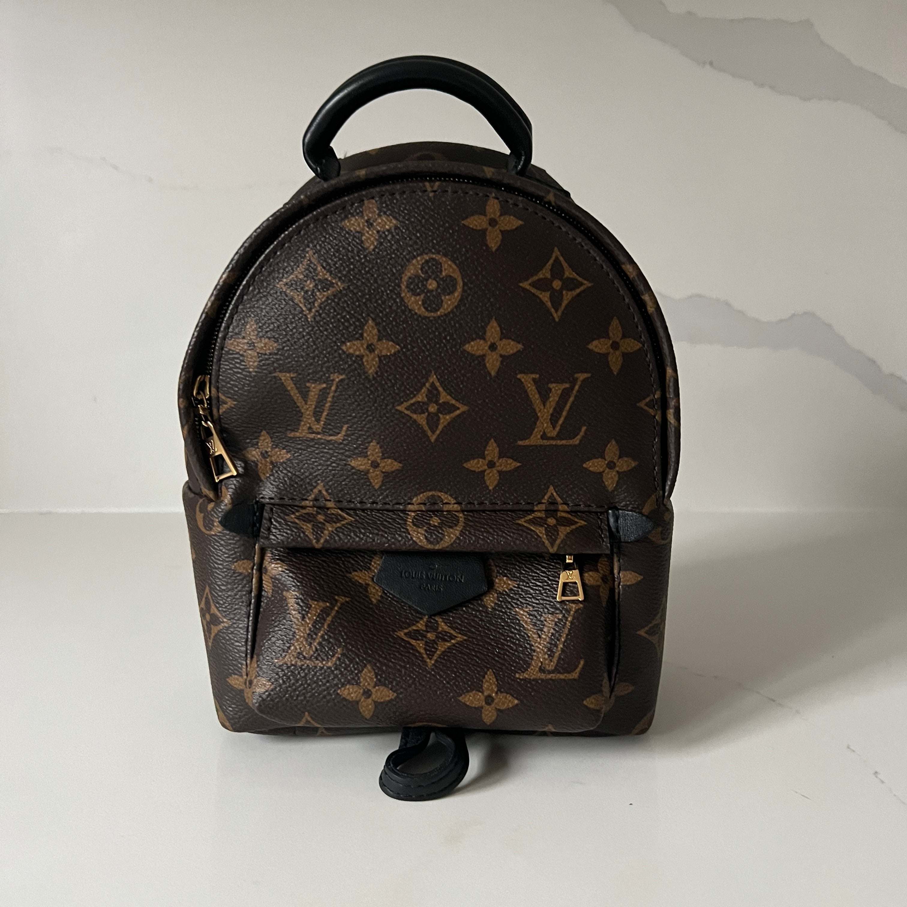 Louis Vuitton Palm Springs Mini