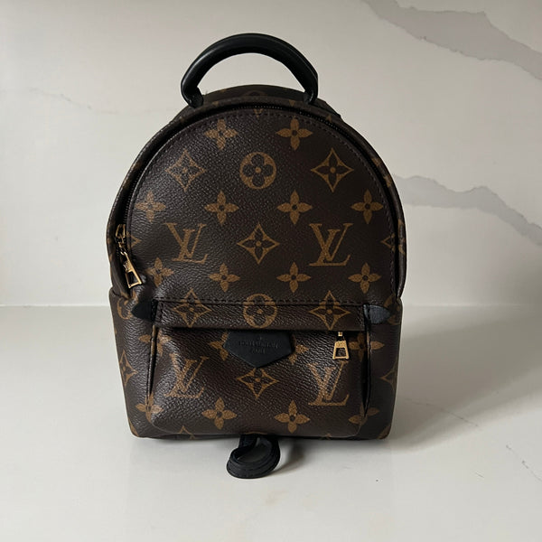 Louis Vuitton Palm Springs Mini