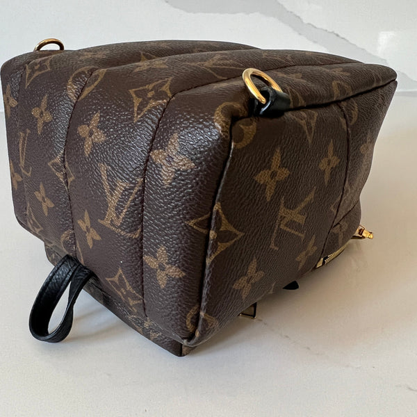 Louis Vuitton Palm Springs Mini