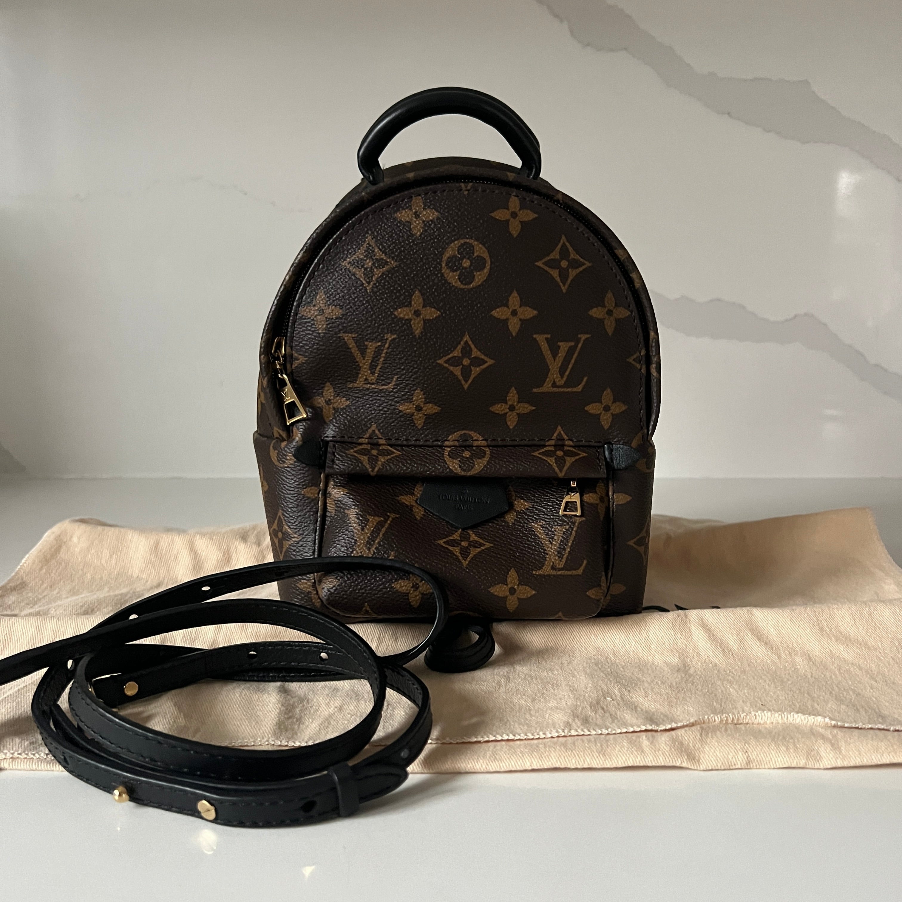 Louis Vuitton Palm Springs Mini