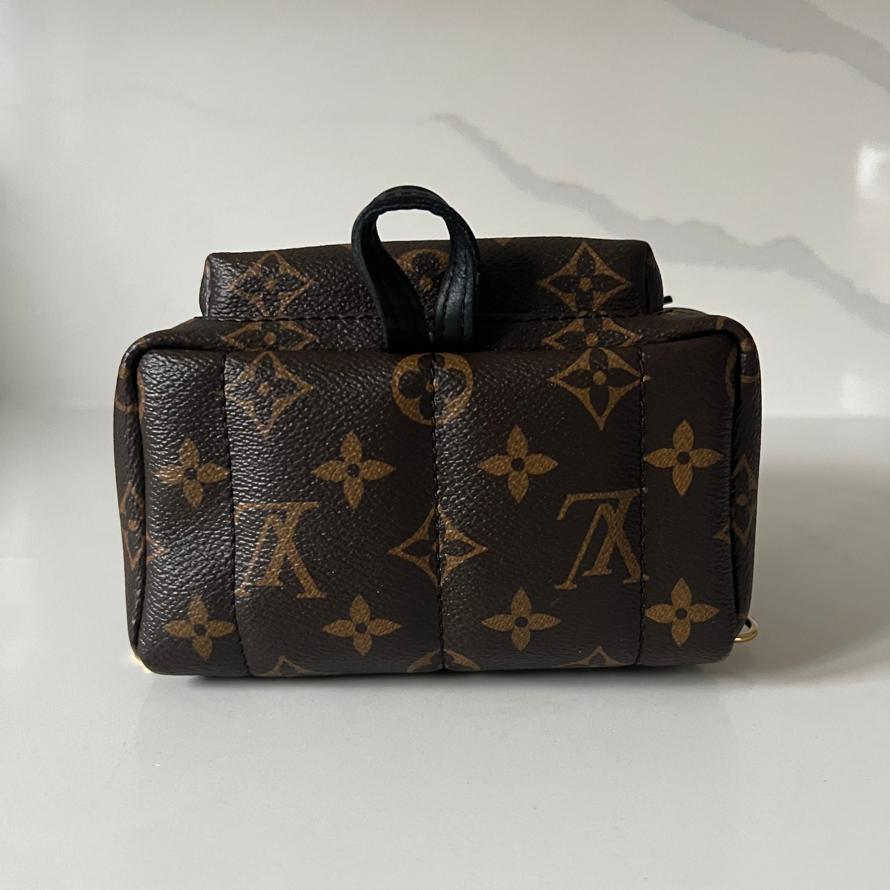 Louis Vuitton Palm Springs Mini