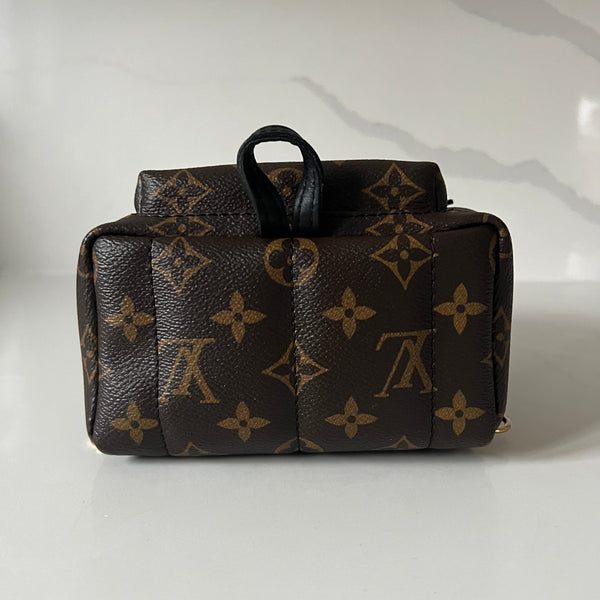 Louis Vuitton Palm Springs Mini