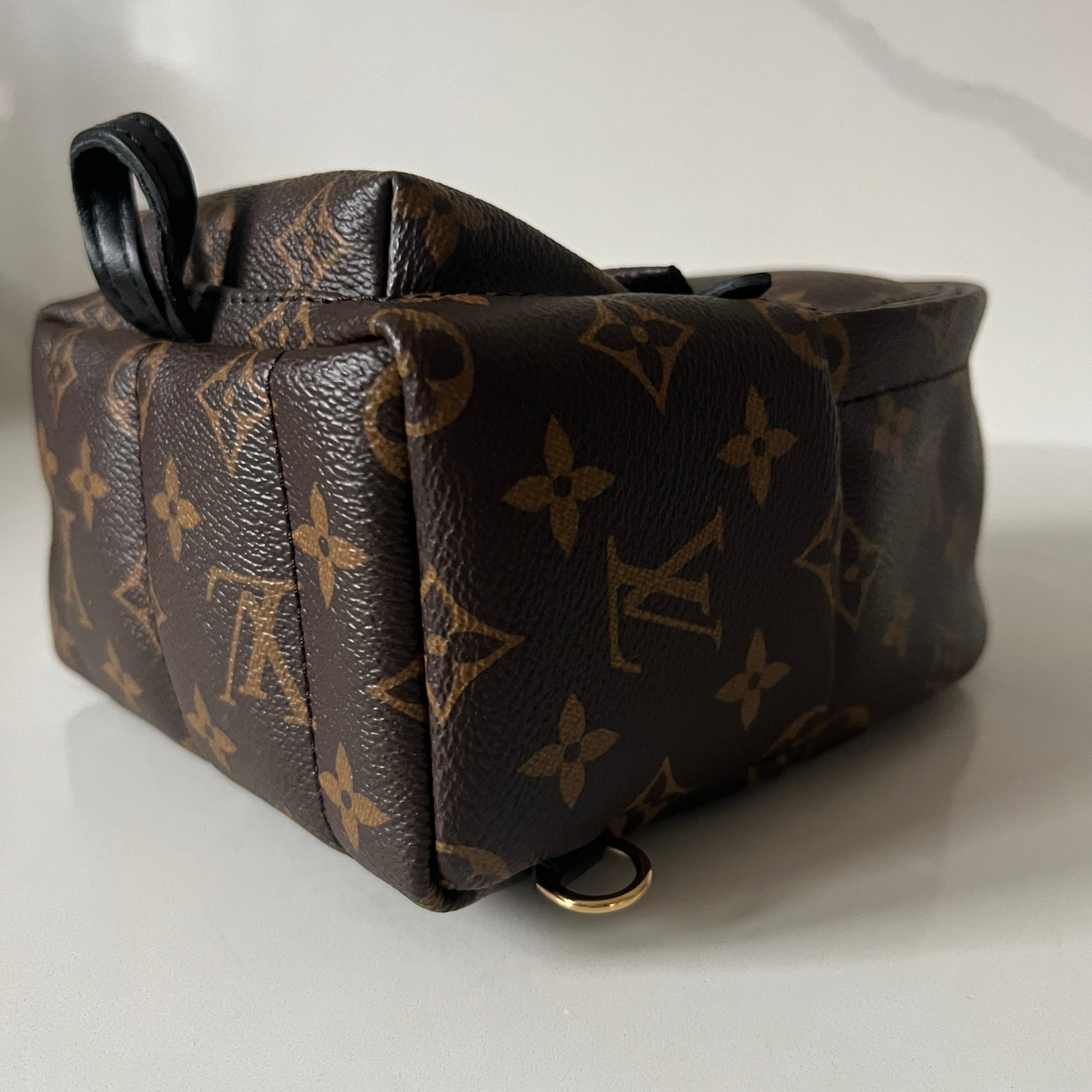 Louis Vuitton Palm Springs Mini