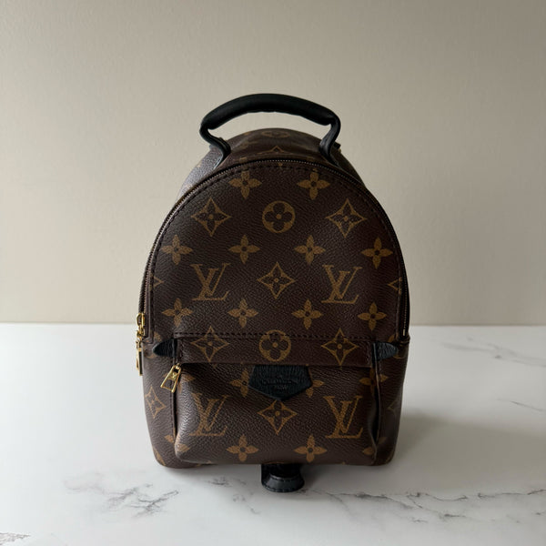 Louis Vuitton Palm Springs Mini