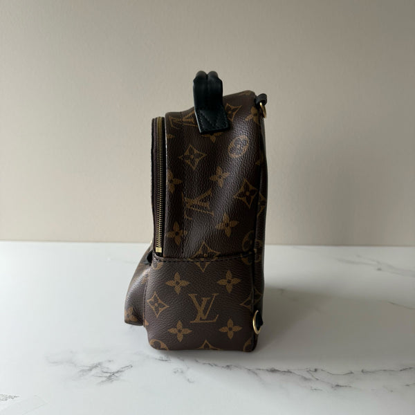 Louis Vuitton Palm Springs Mini