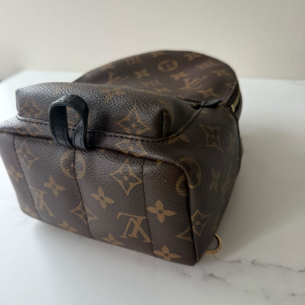 Louis Vuitton Palm Springs Mini