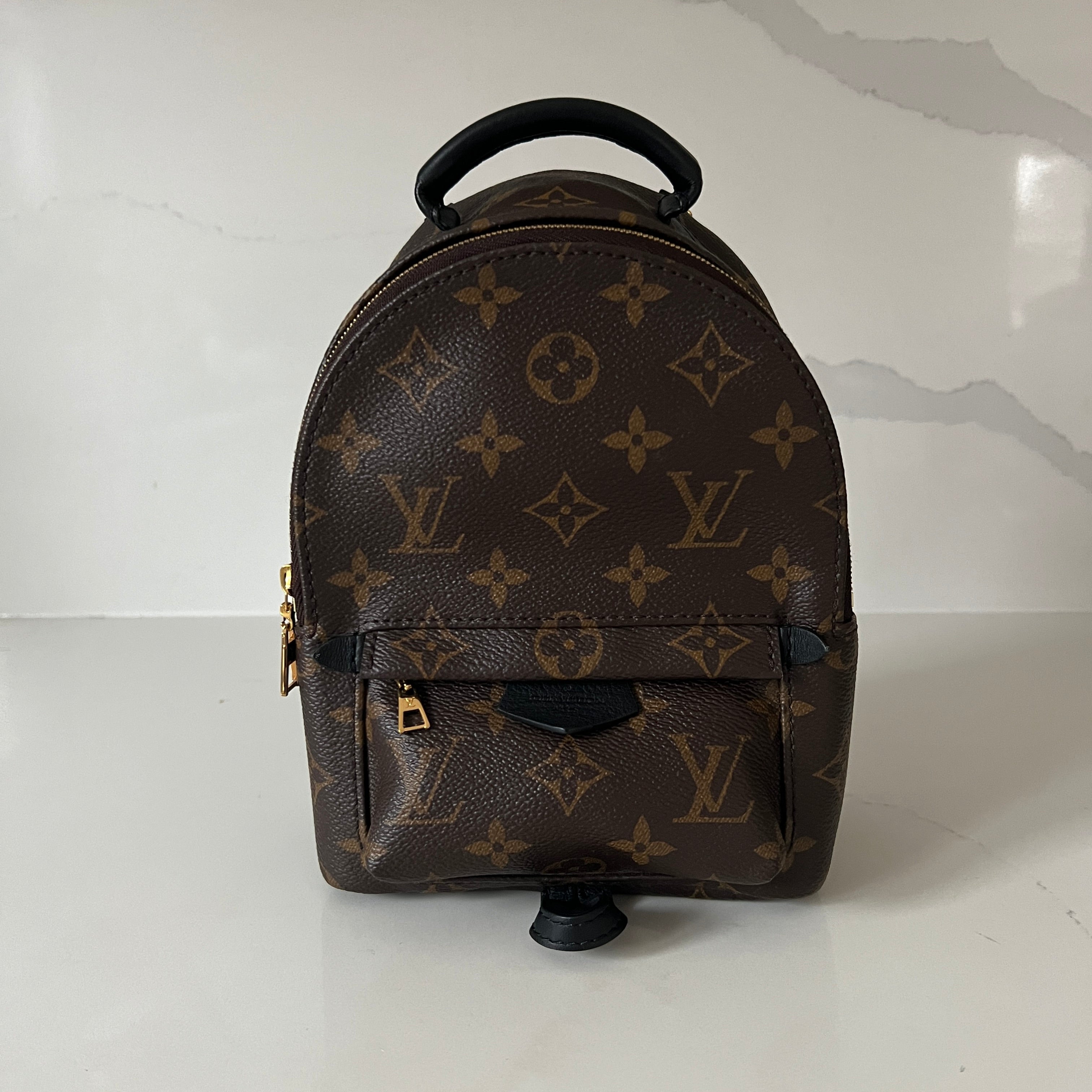 Louis Vuitton Palm Springs Mini