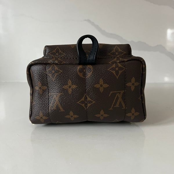 Louis Vuitton Palm Springs Mini