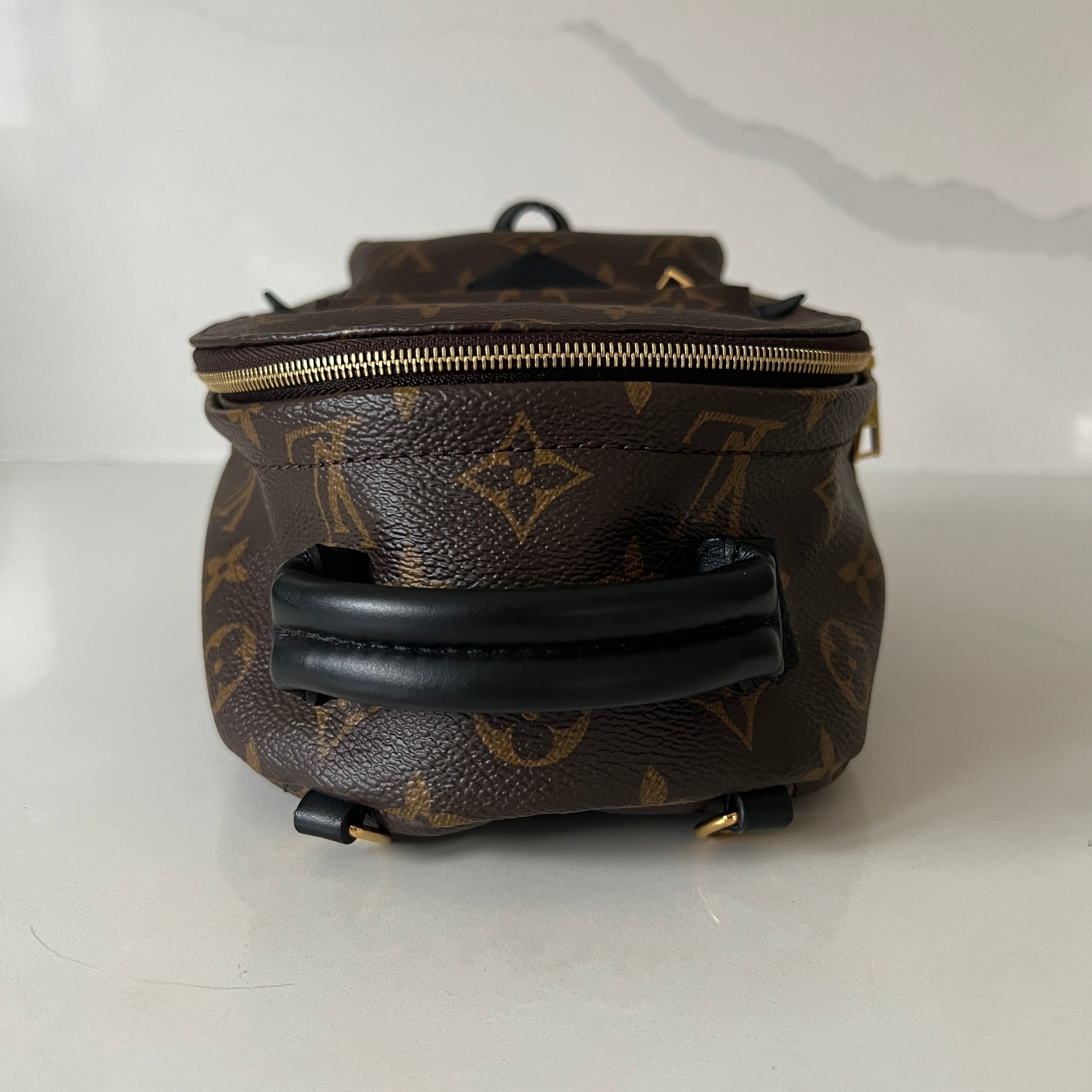 Louis Vuitton Palm Springs Mini