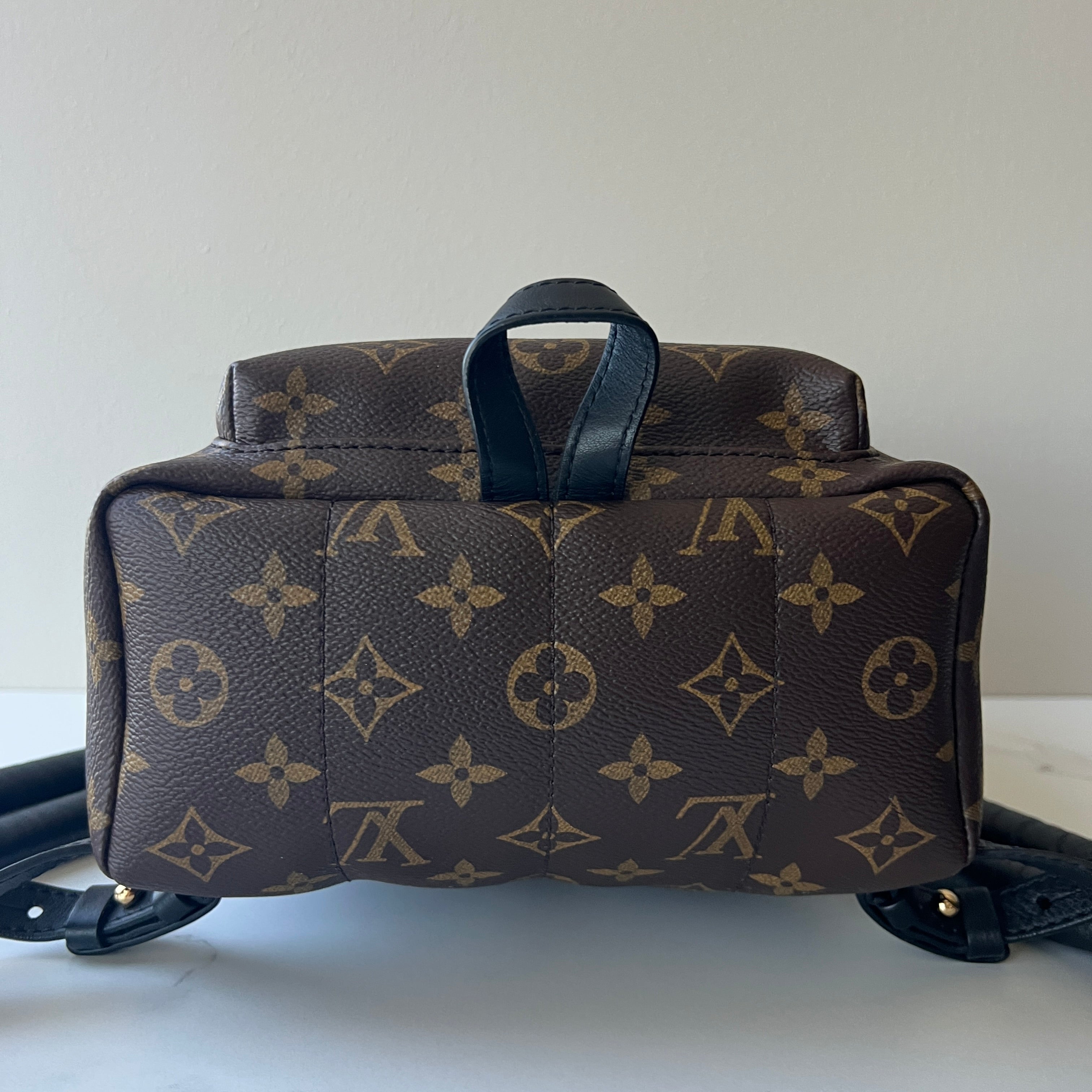 Louis Vuitton Palm Springs PM