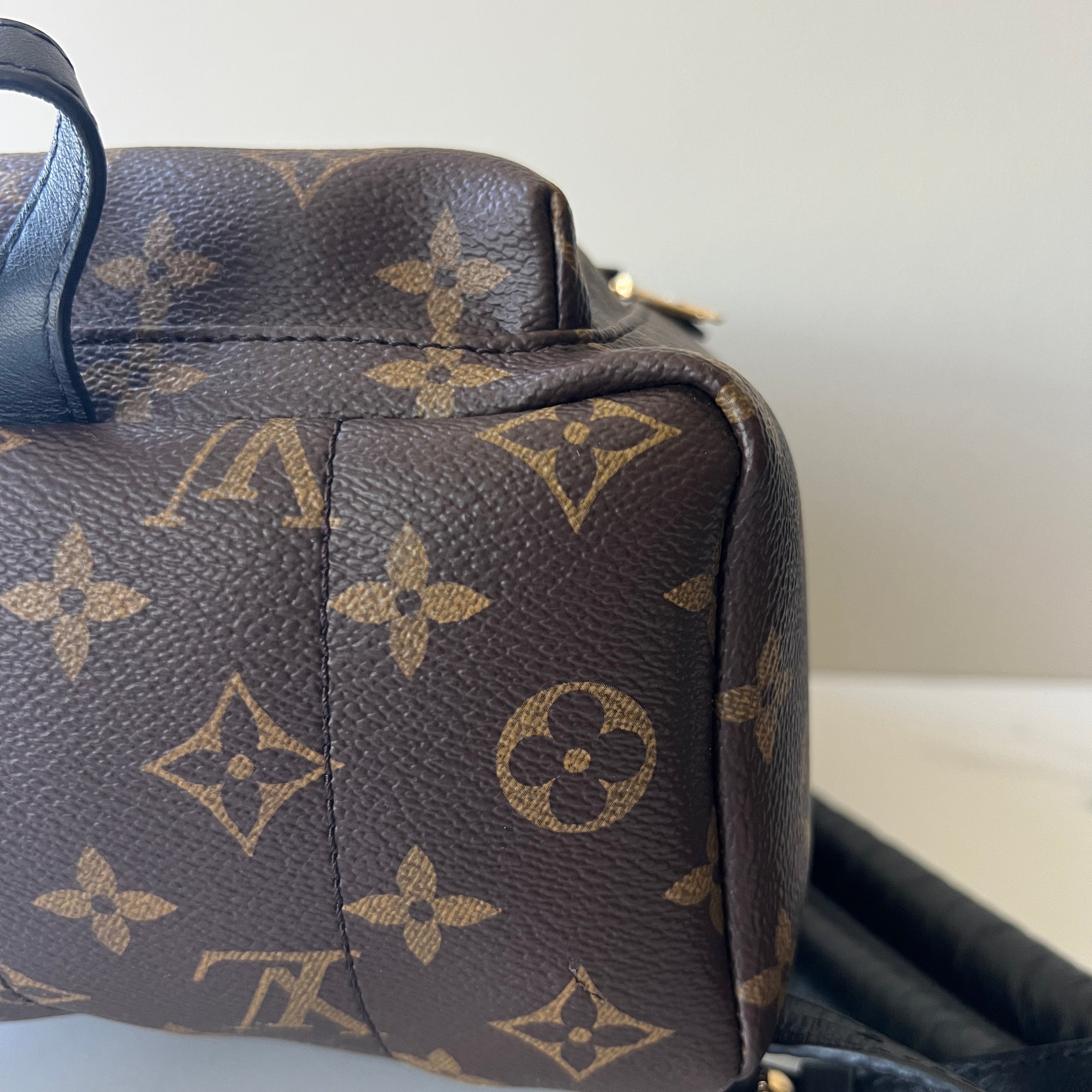 Louis Vuitton Palm Springs PM