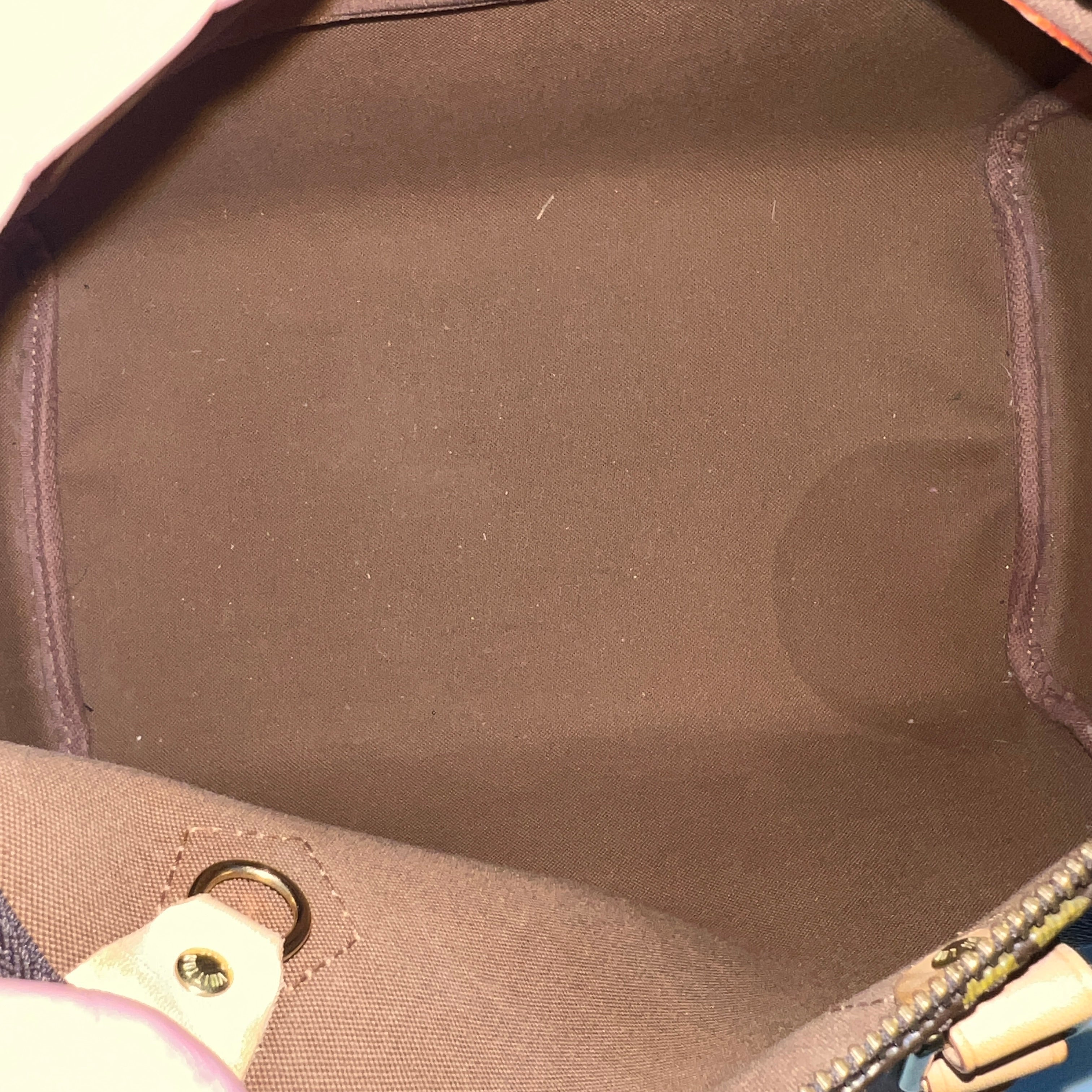 Louis Vuitton Speedy 30