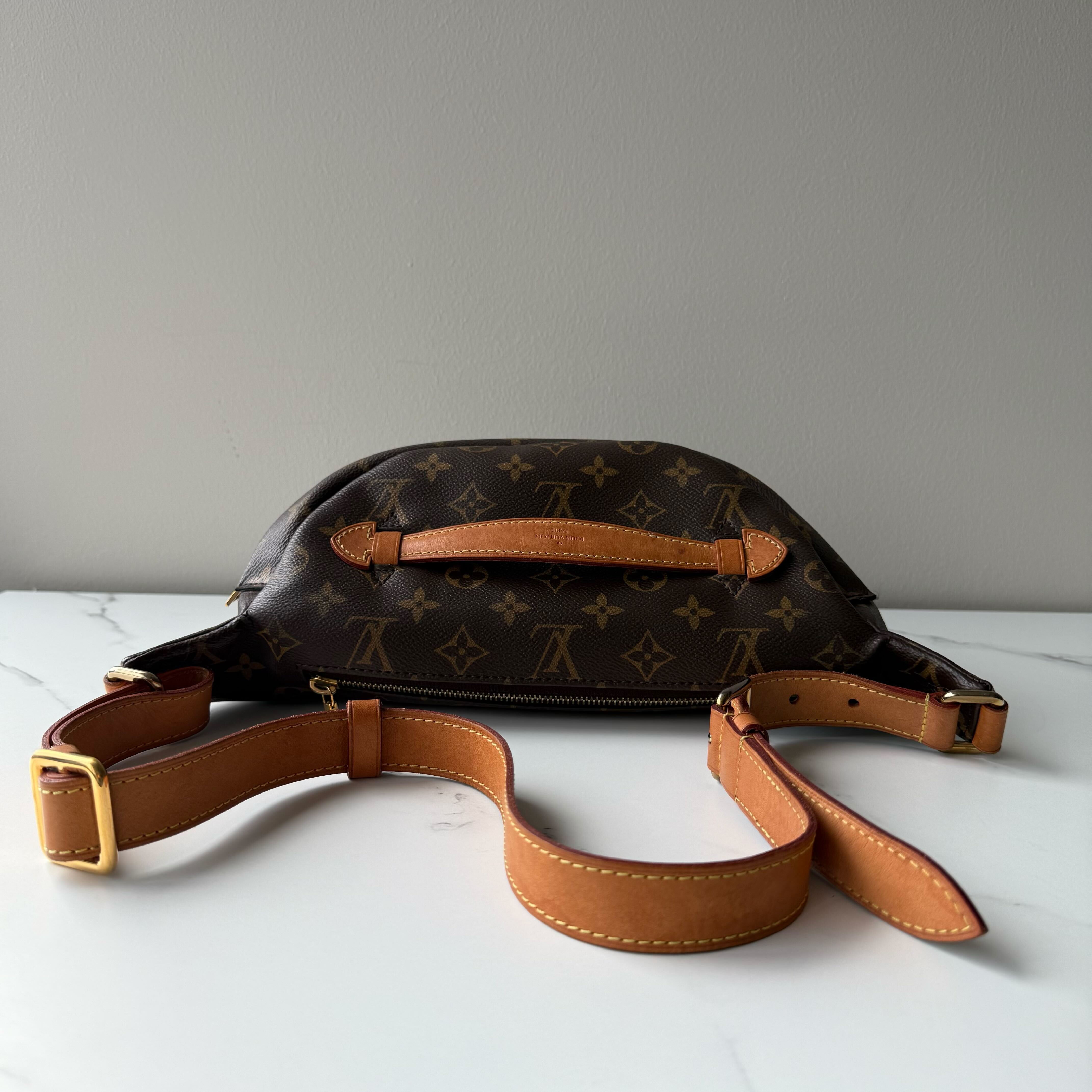 Louis Vuitton Bumbag