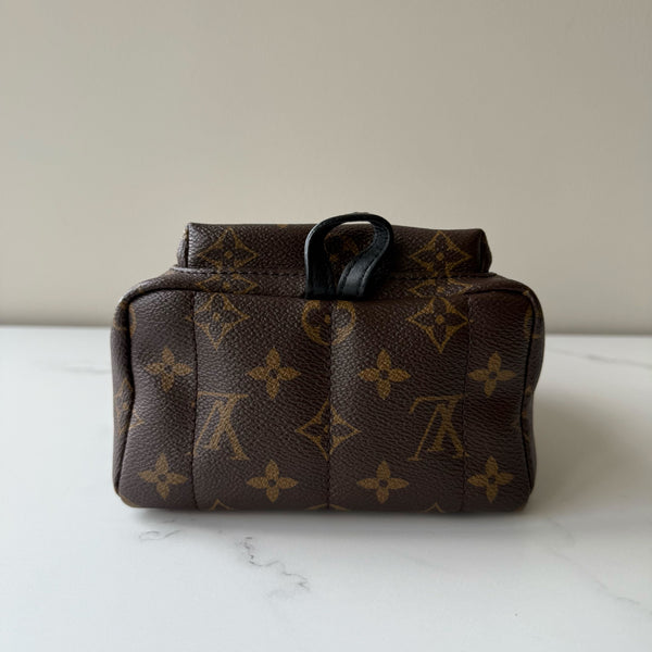 Louis Vuitton Palm Springs Mini