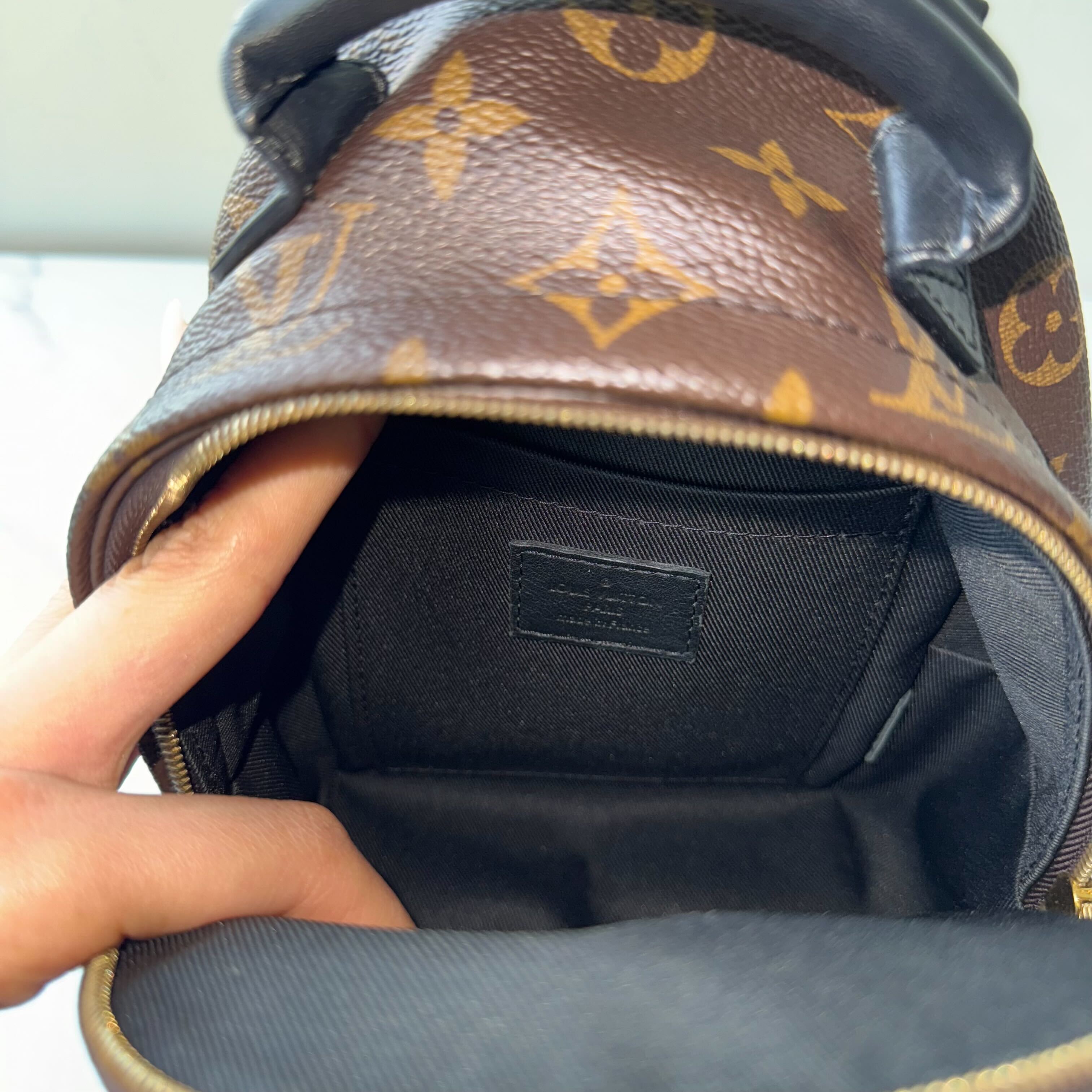 Louis Vuitton Palm Springs Mini