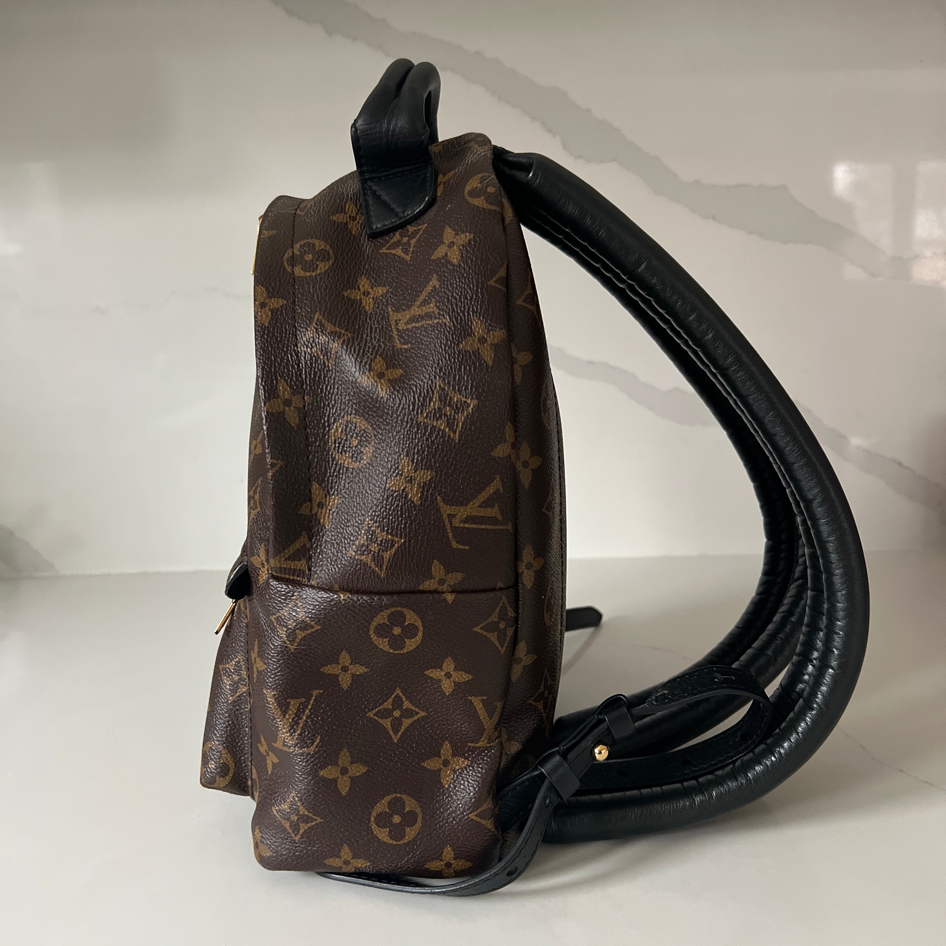 Louis Vuitton Palm Springs PM