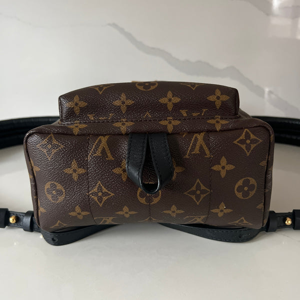 Louis Vuitton Palm Springs PM