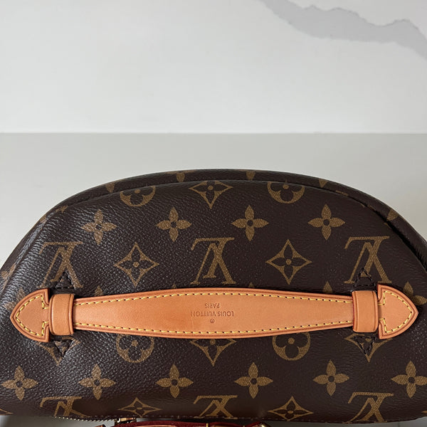 Louis Vuitton Bum Bag