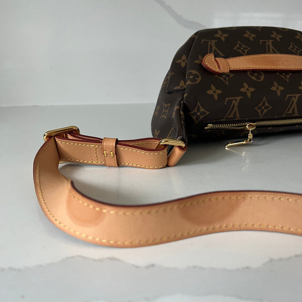 Louis Vuitton Bum Bag