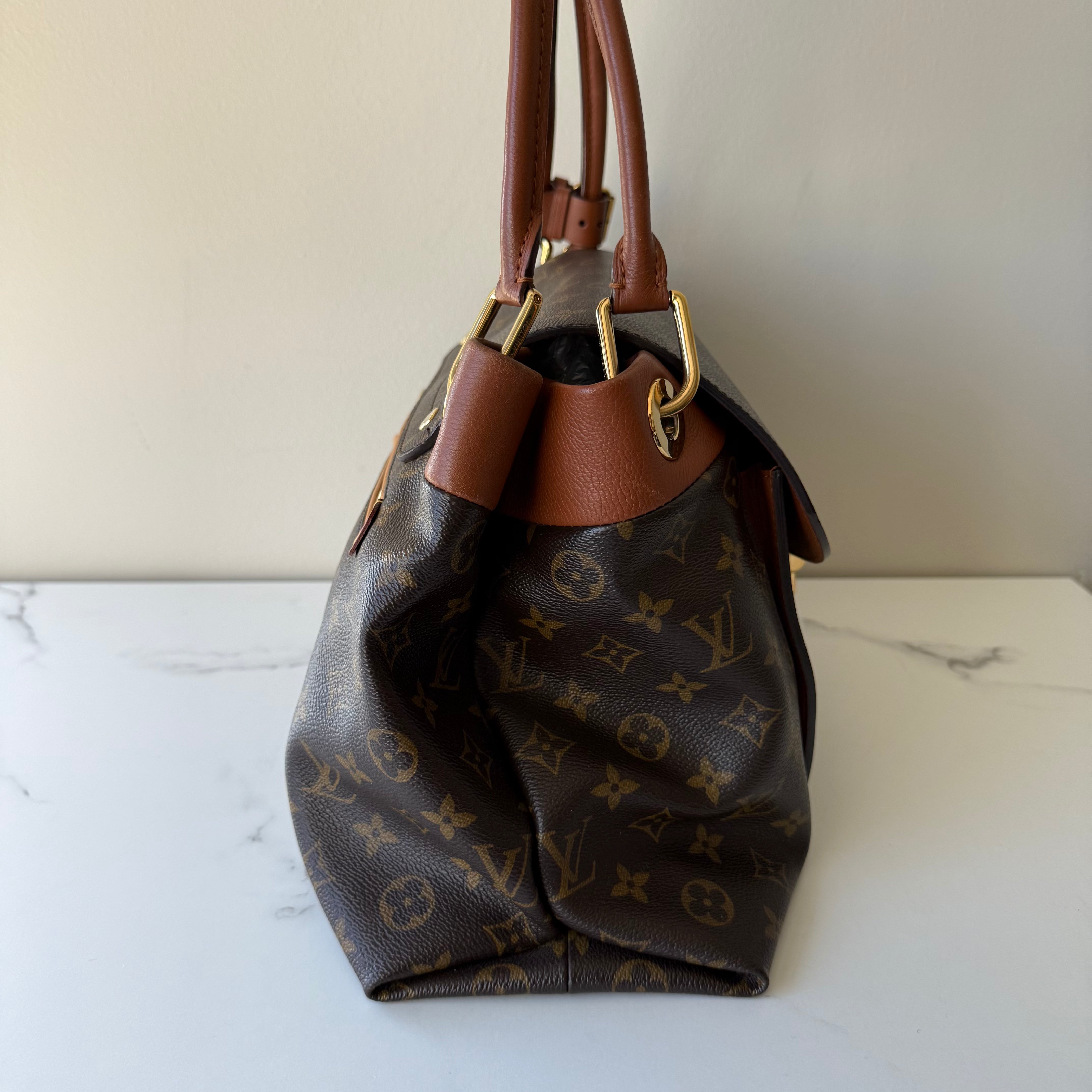 Louis Vuitton Hobo Tote