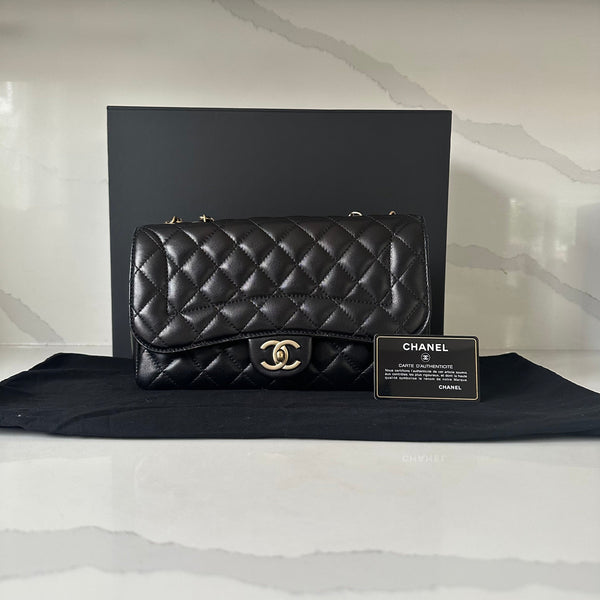 Chanel Mademoiselle Chic Flap