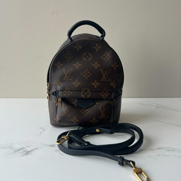 Louis Vuitton Palm Springs Mini