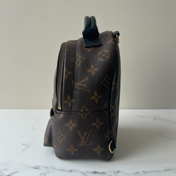 Louis Vuitton Palm Springs Mini