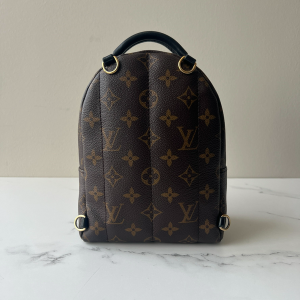 Louis Vuitton Palm Springs Mini