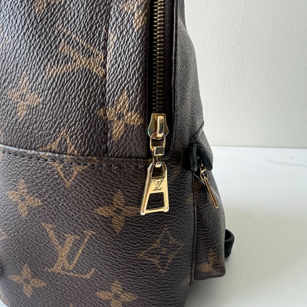 Louis Vuitton Palm Springs Mini