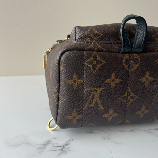 Louis Vuitton Palm Springs Mini
