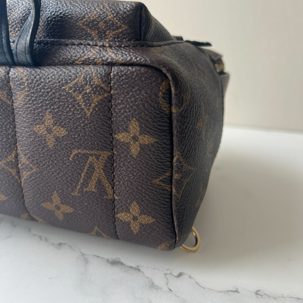 Louis Vuitton Palm Springs Mini