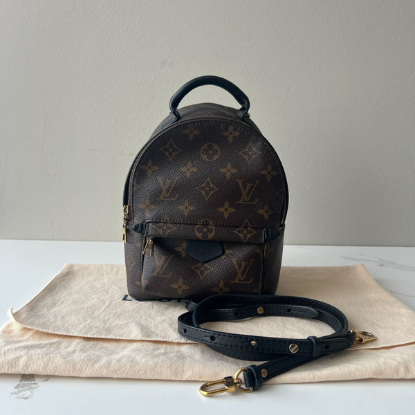 Louis Vuitton Palm Springs Mini