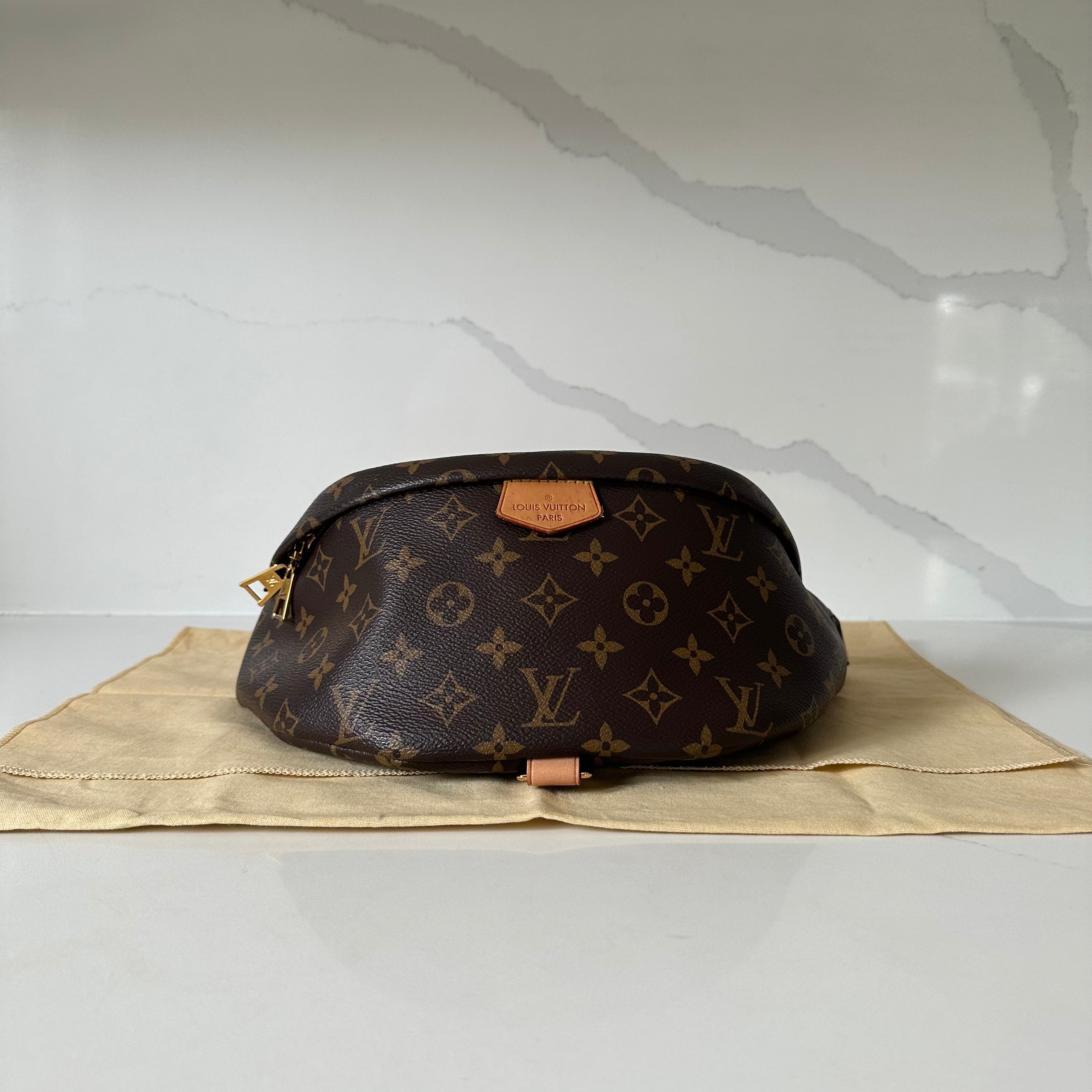 Louis Vuitton Bumbag