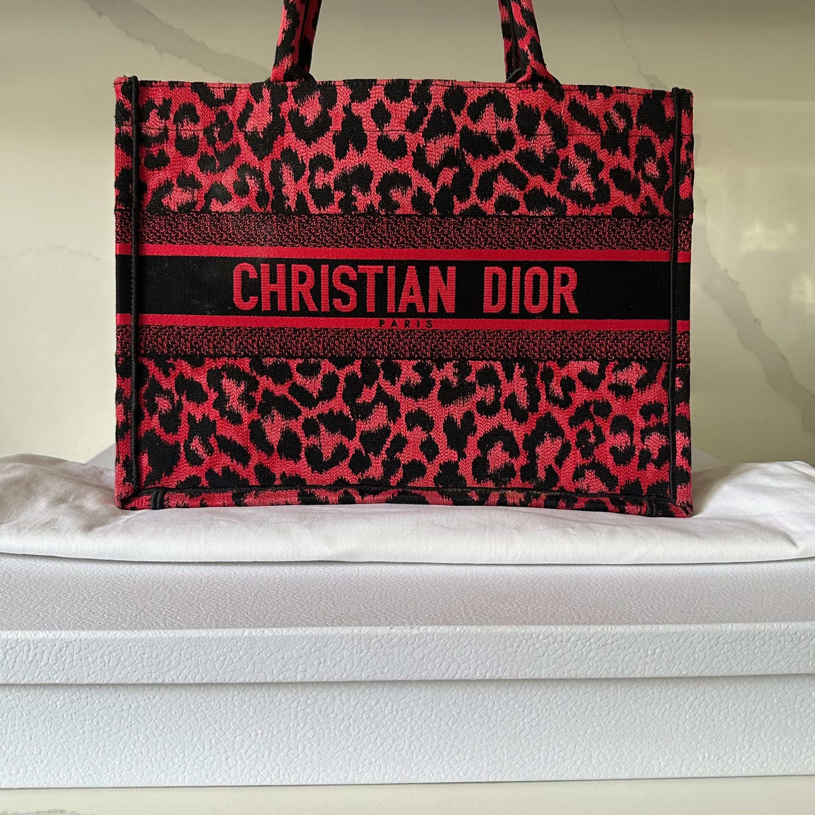 Christian Dior Book Tote