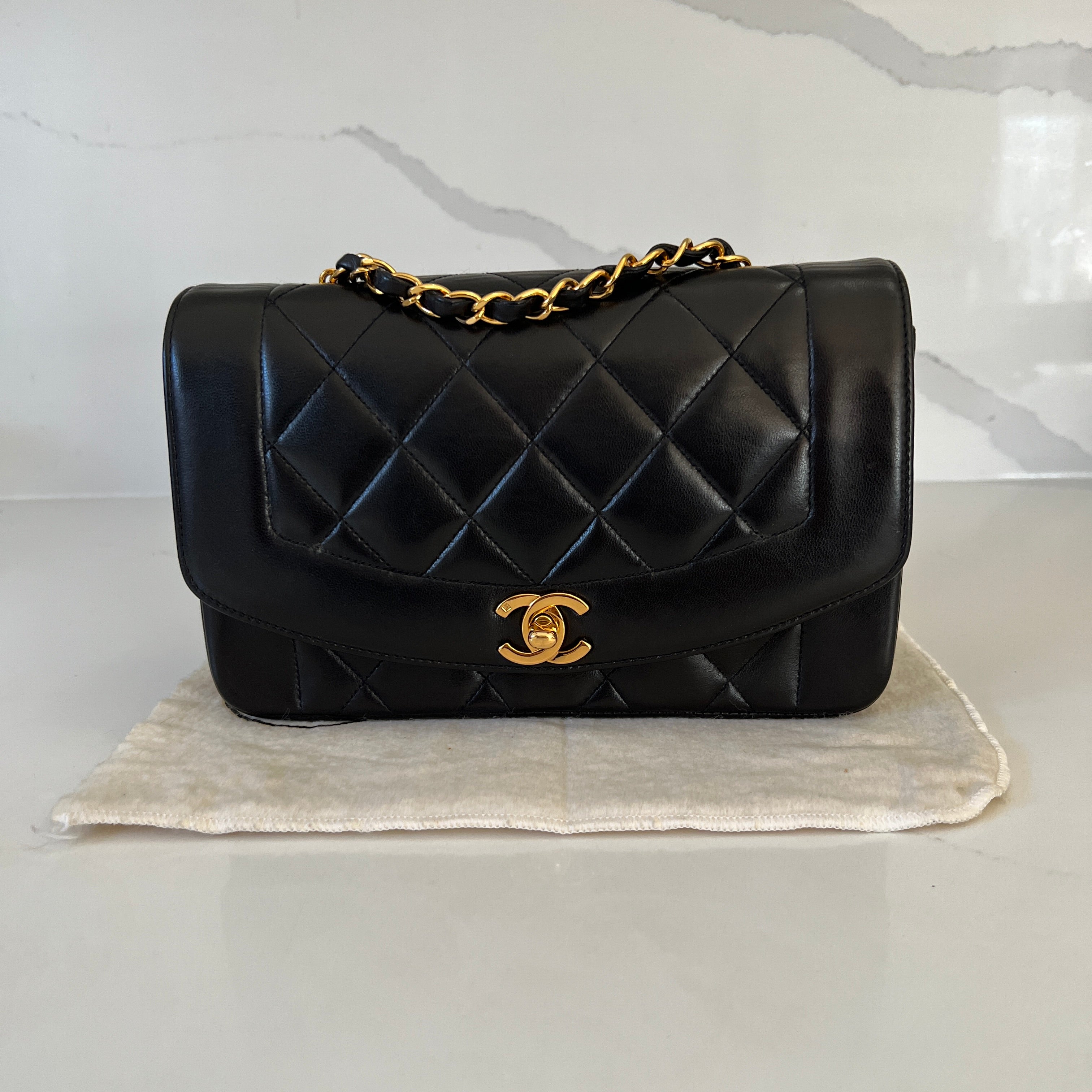 Chanel Small Diana