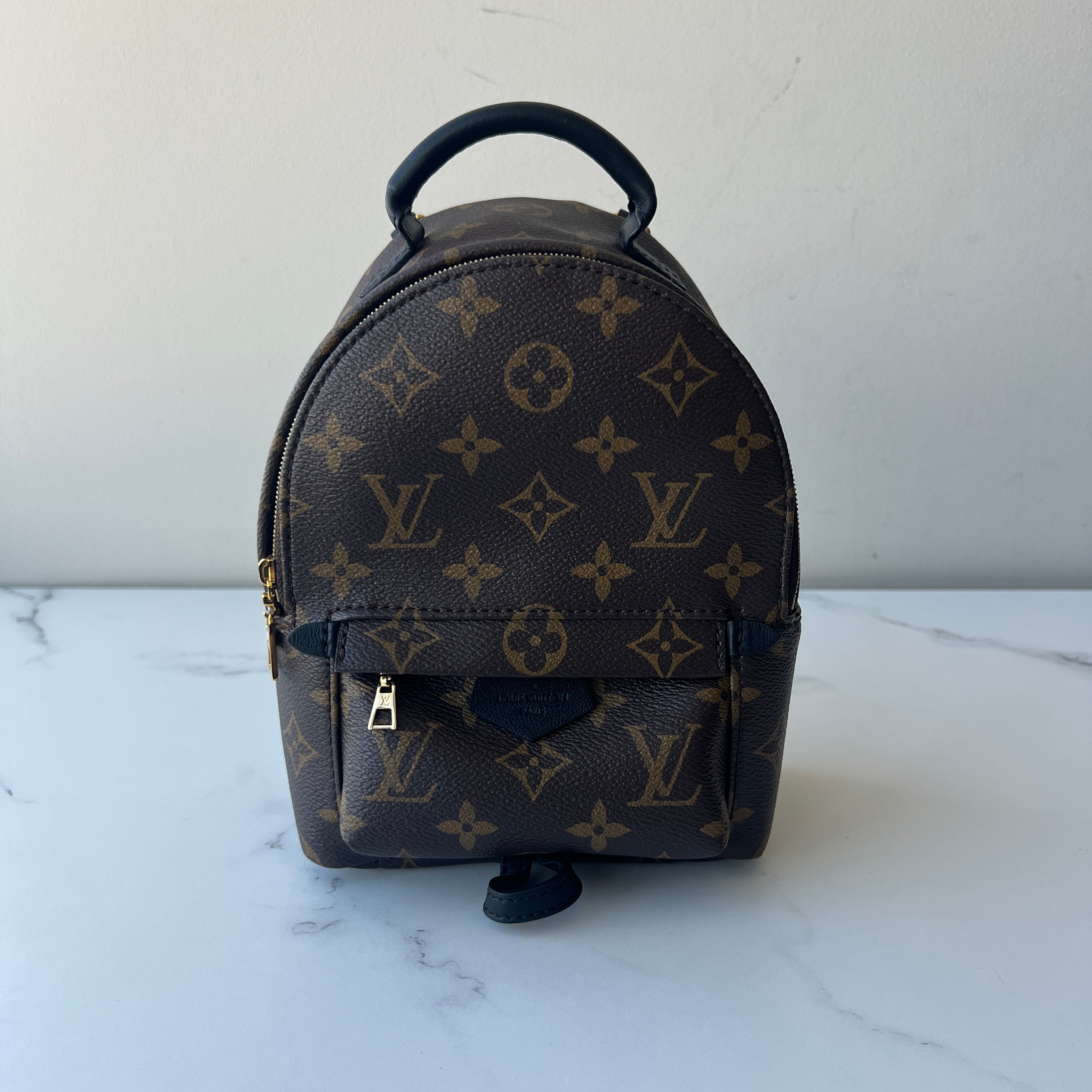 Louis Vuitton Palm Springs Mini
