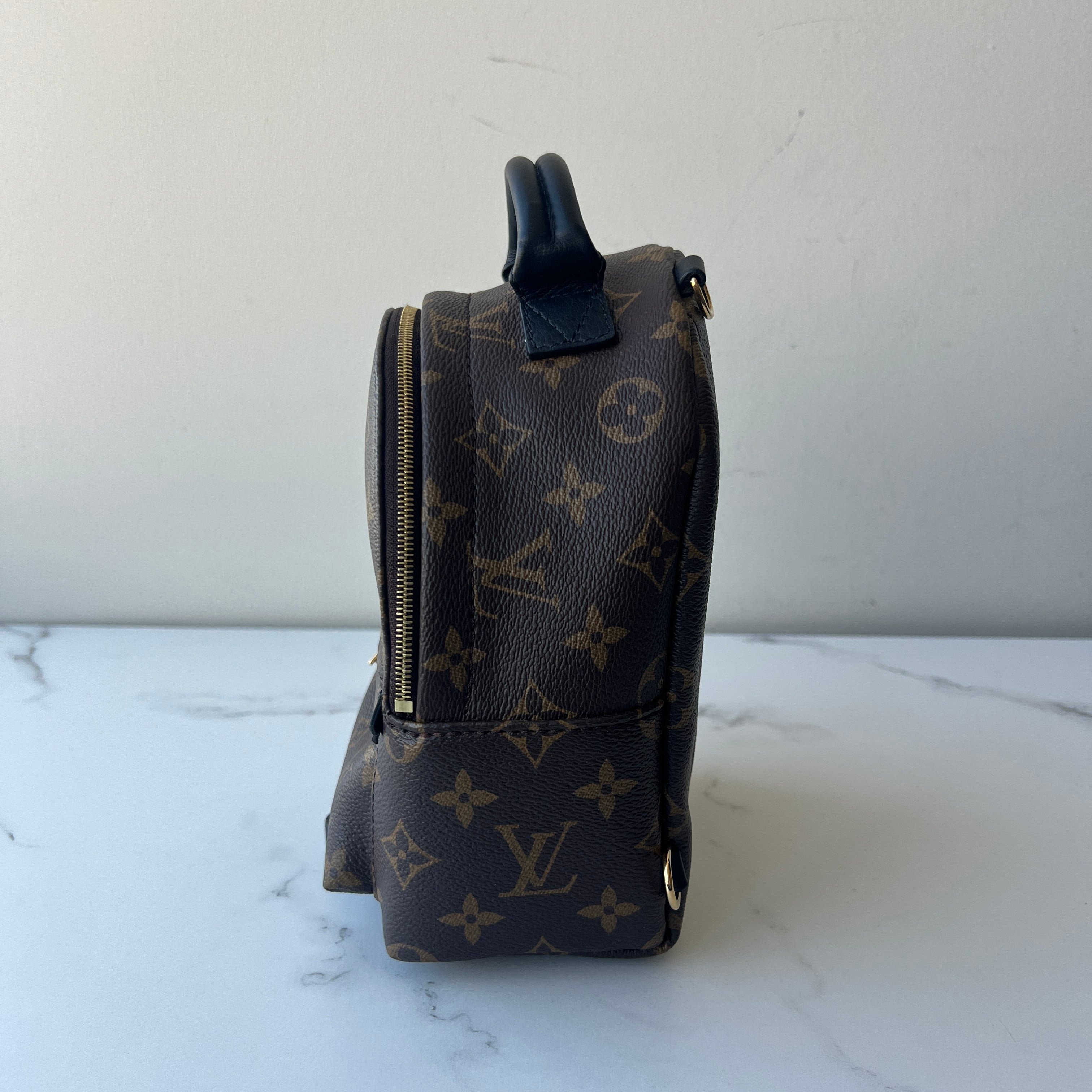 Louis Vuitton Palm Springs Mini
