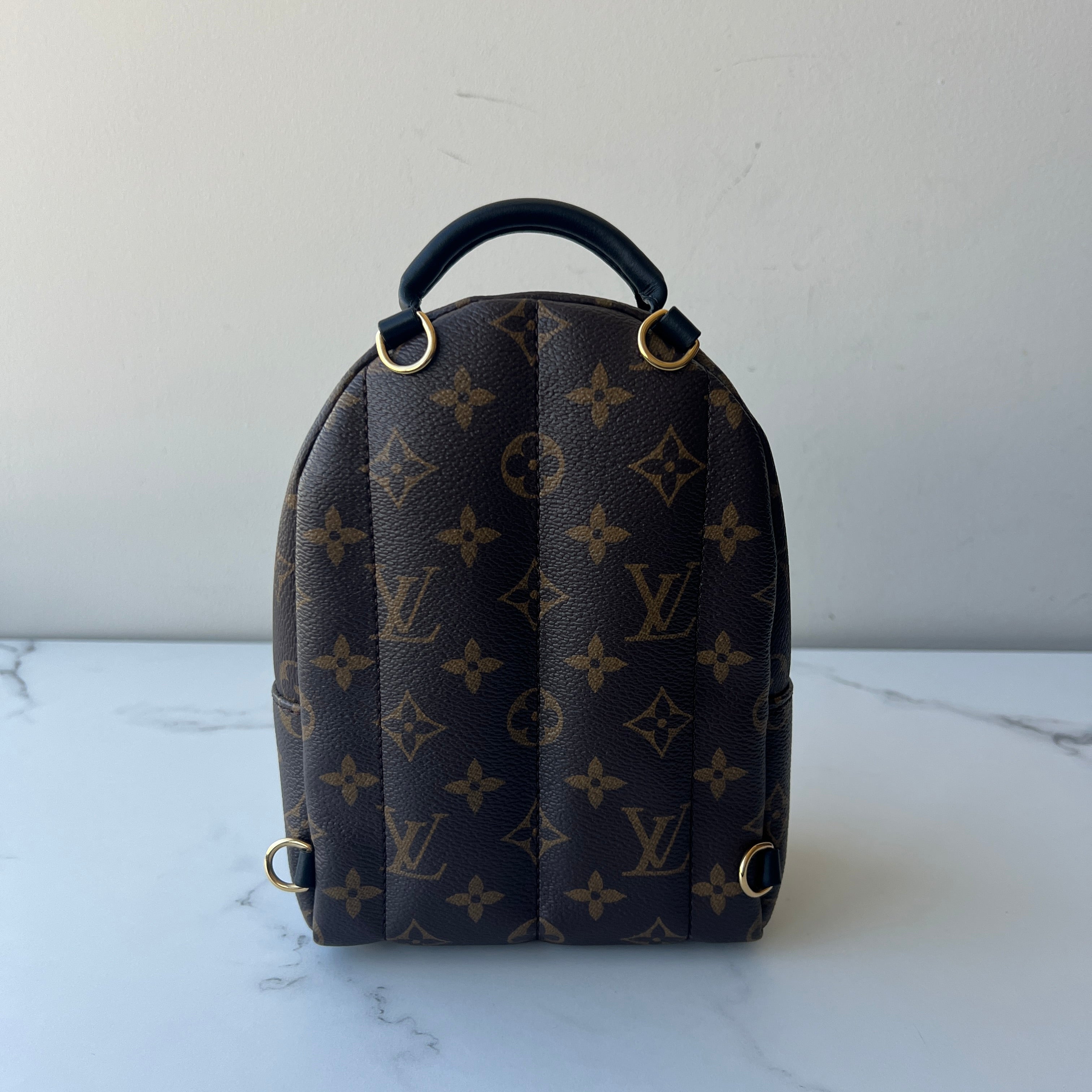Louis Vuitton Palm Springs Mini