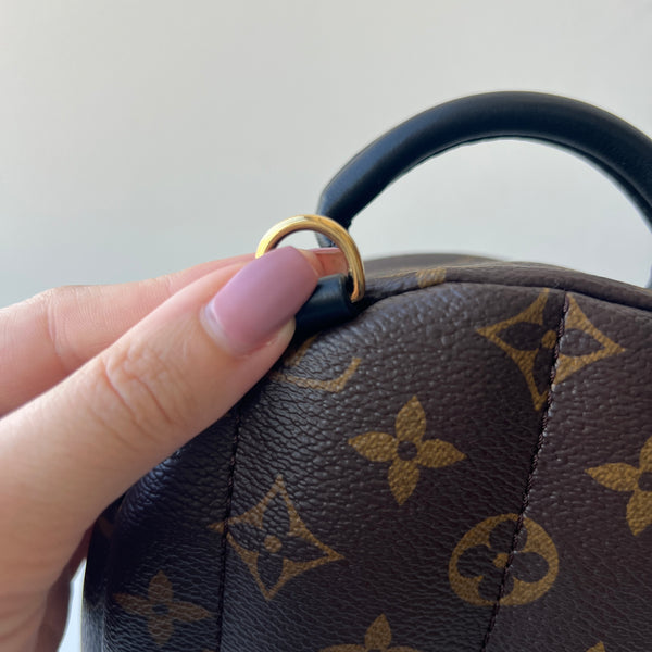 Louis Vuitton Palm Springs Mini
