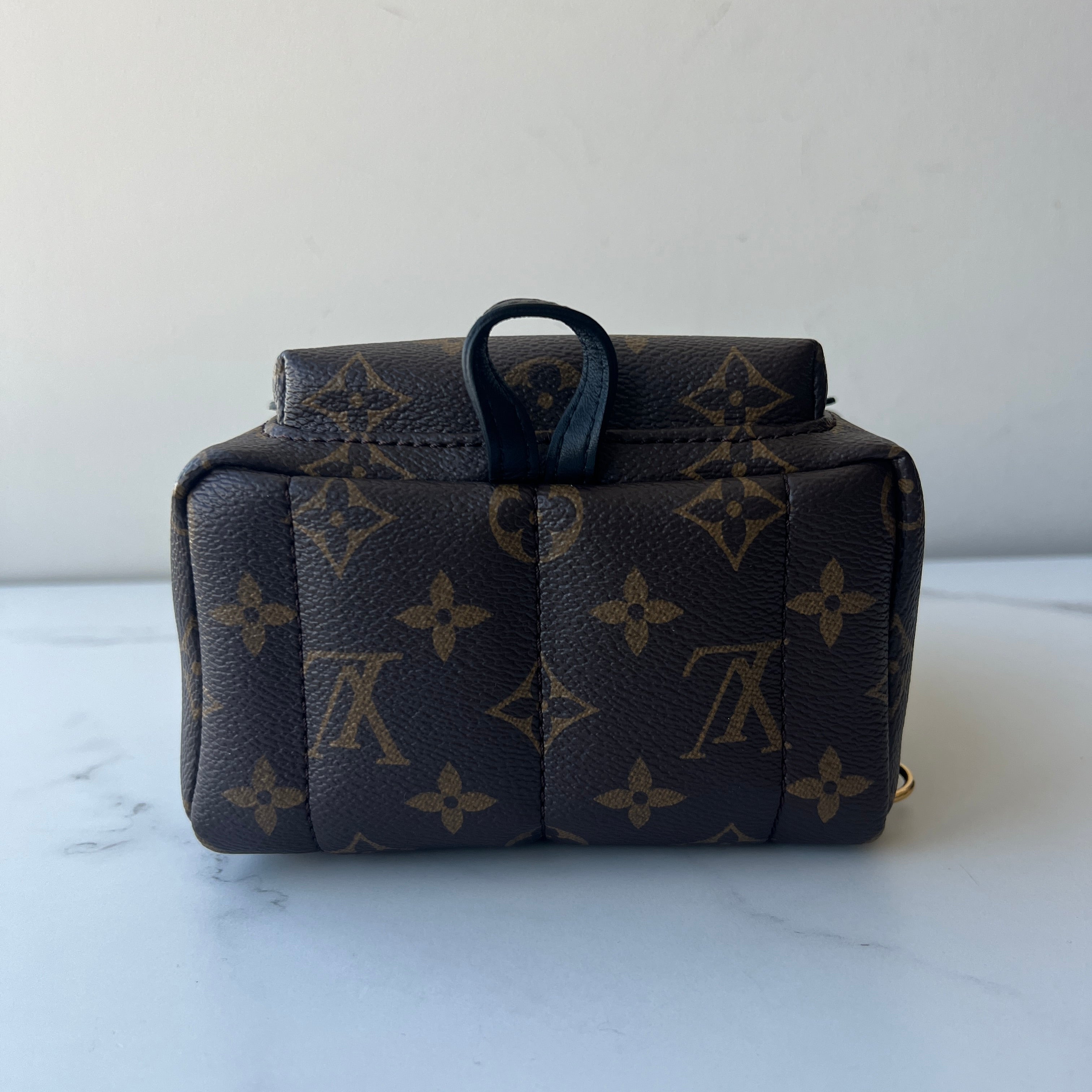 Louis Vuitton Palm Springs Mini