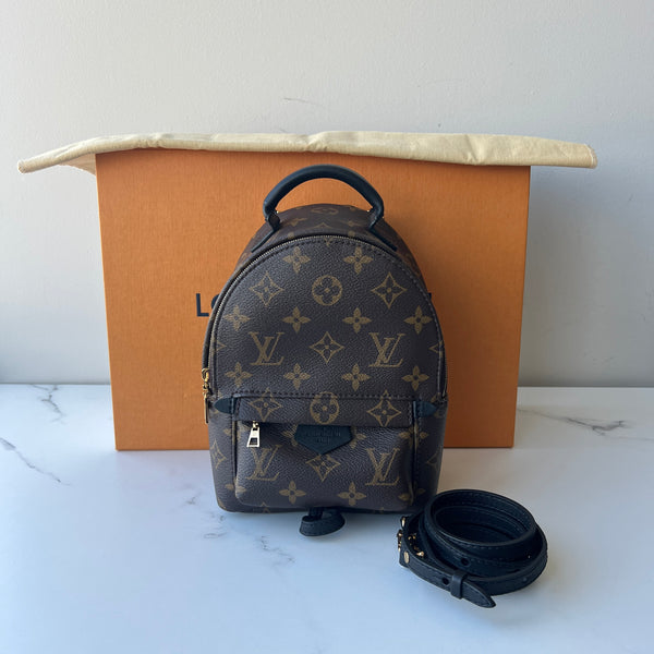 Louis Vuitton Palm Springs Mini