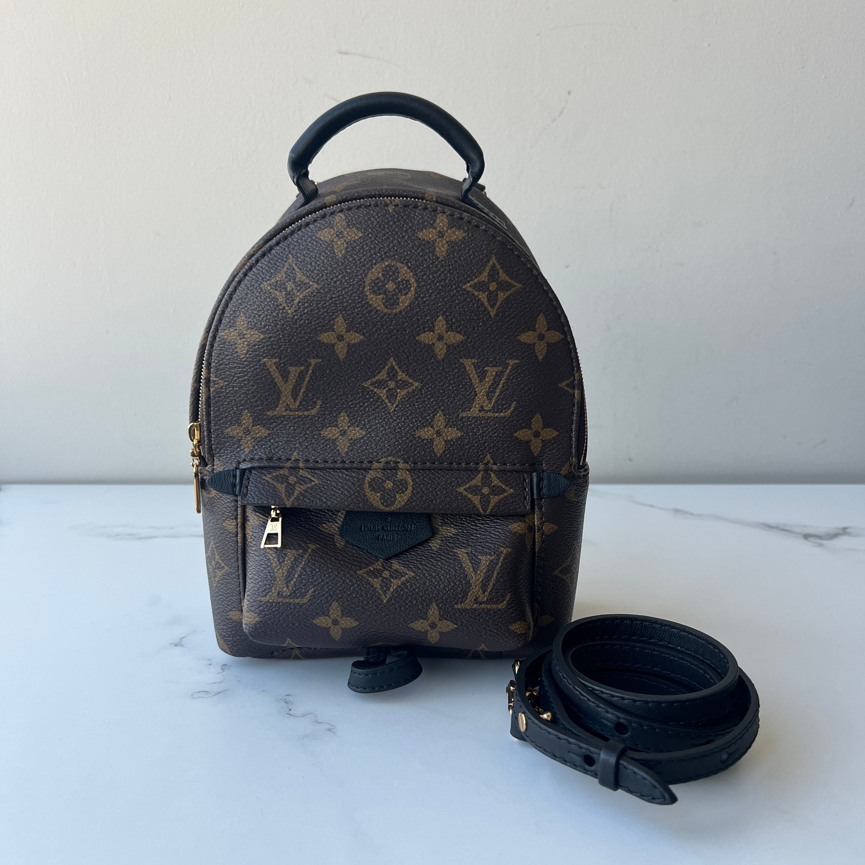 Louis Vuitton Palm Springs Mini