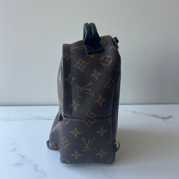 Louis Vuitton Palm Springs Mini